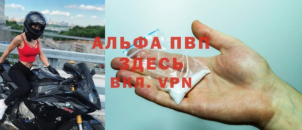 ПСИЛОЦИБИНОВЫЕ ГРИБЫ Болотное