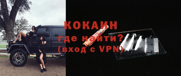 индика Бугульма