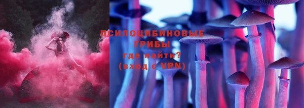 гашик Бронницы