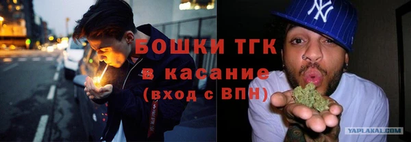 индика Бугульма