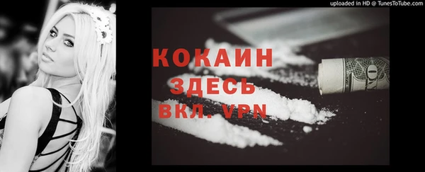 индика Бугульма