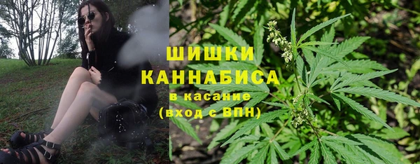индика Бугульма