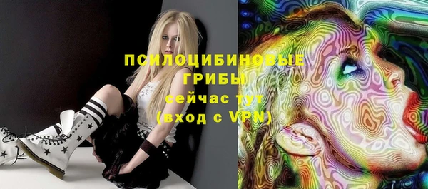 индика Бугульма