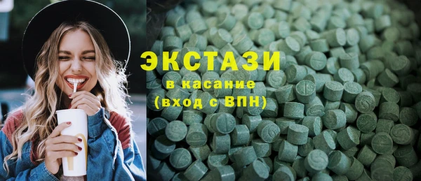 индика Бугульма