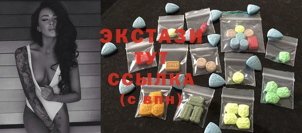 индика Бугульма